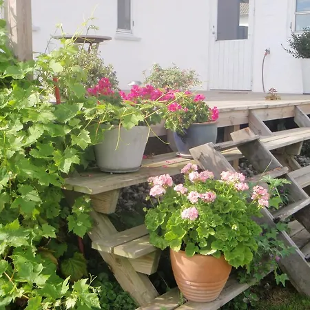 Ruhetgaard Holiday Apartment Apartment Aeroskobing