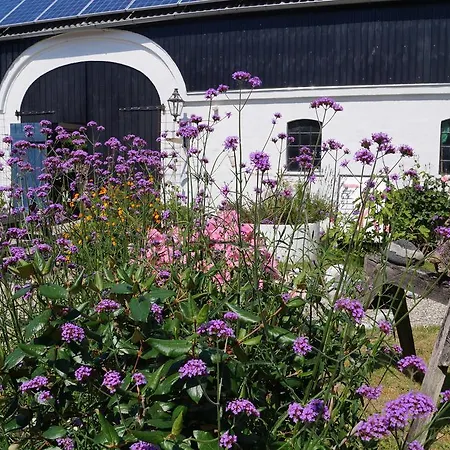 Ruhetgaard Holiday Apartment